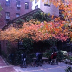 All Souls Fall Courtyard