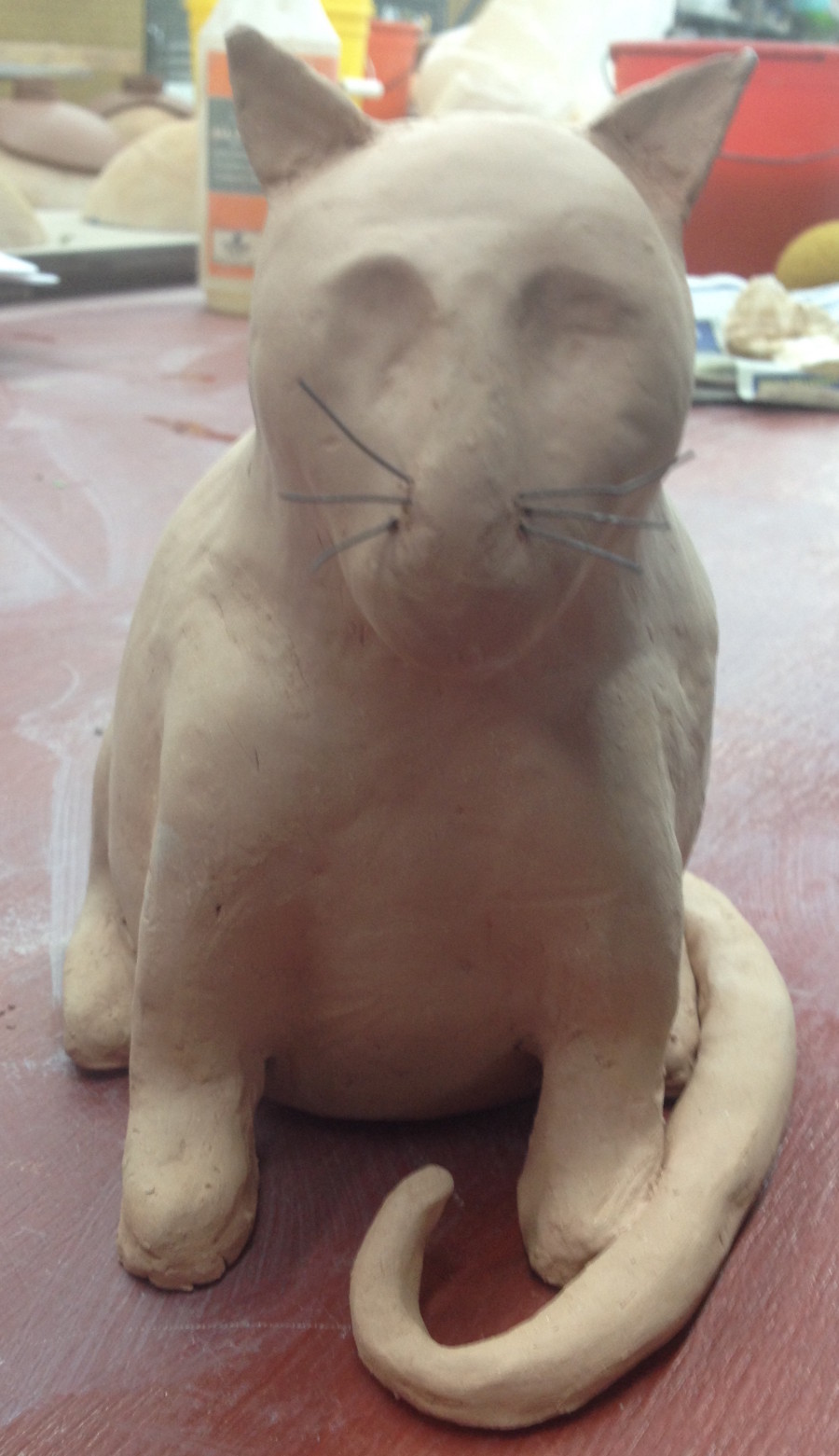 Cat PInchpot
